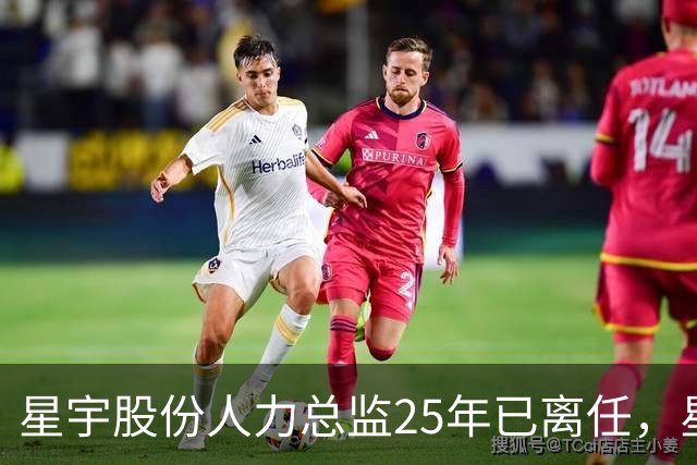星宇股份人力总监25年已离任，星宇股份这波操作，真把我看笑了
