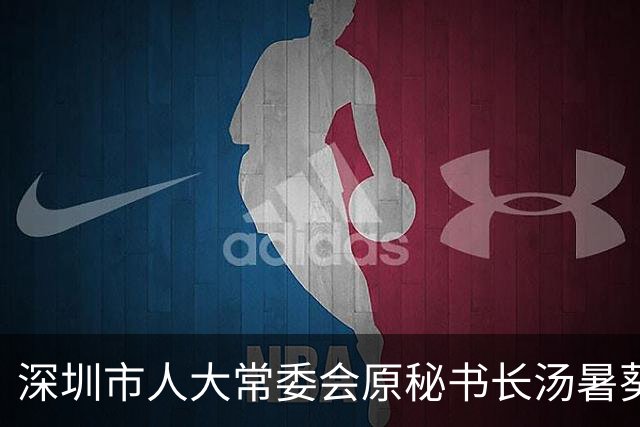 深圳市人大常委会原秘书长汤暑葵辞去市人大代表职务